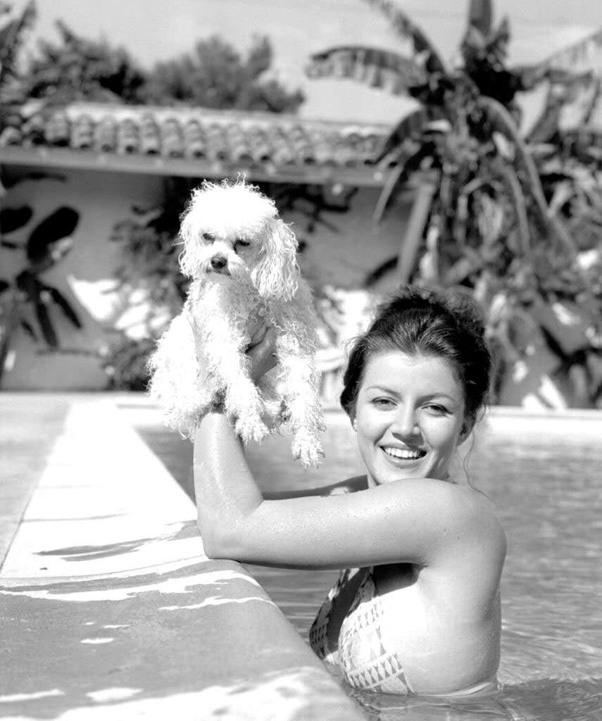 Joan Bradshaw in a swimming pool with her dog, 1960