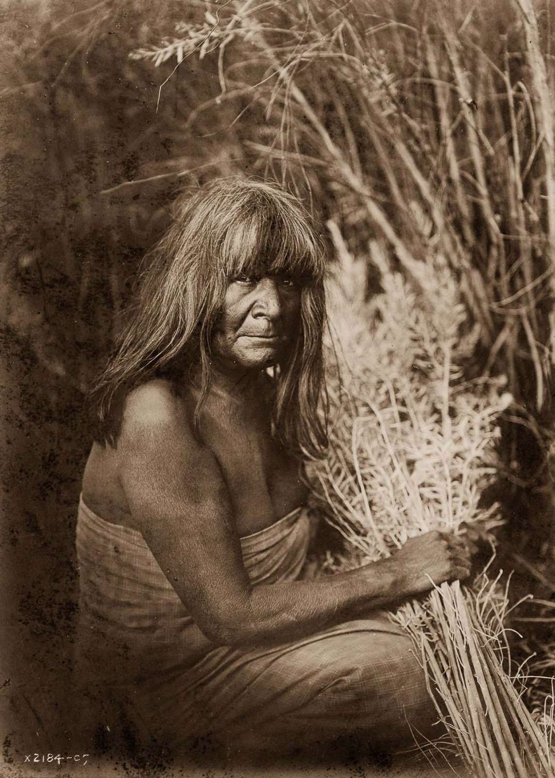 A Maricopa woman with arrow-brush stalks. 1907.