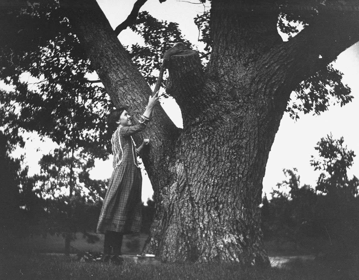 Miss Brown holds a cob of maize for a squirrel to eat.1888