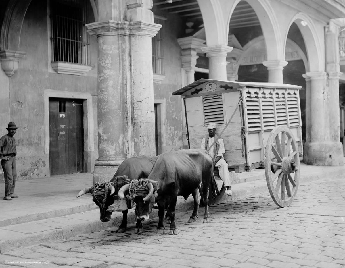 A meat wagon, Havana, 1903