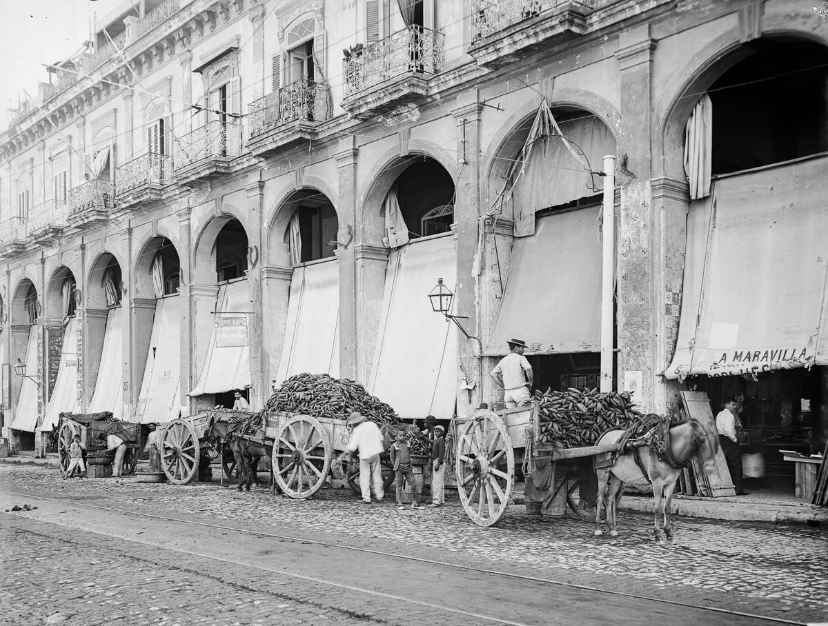 Fruit wagons unload outside a market, Havana, 1900