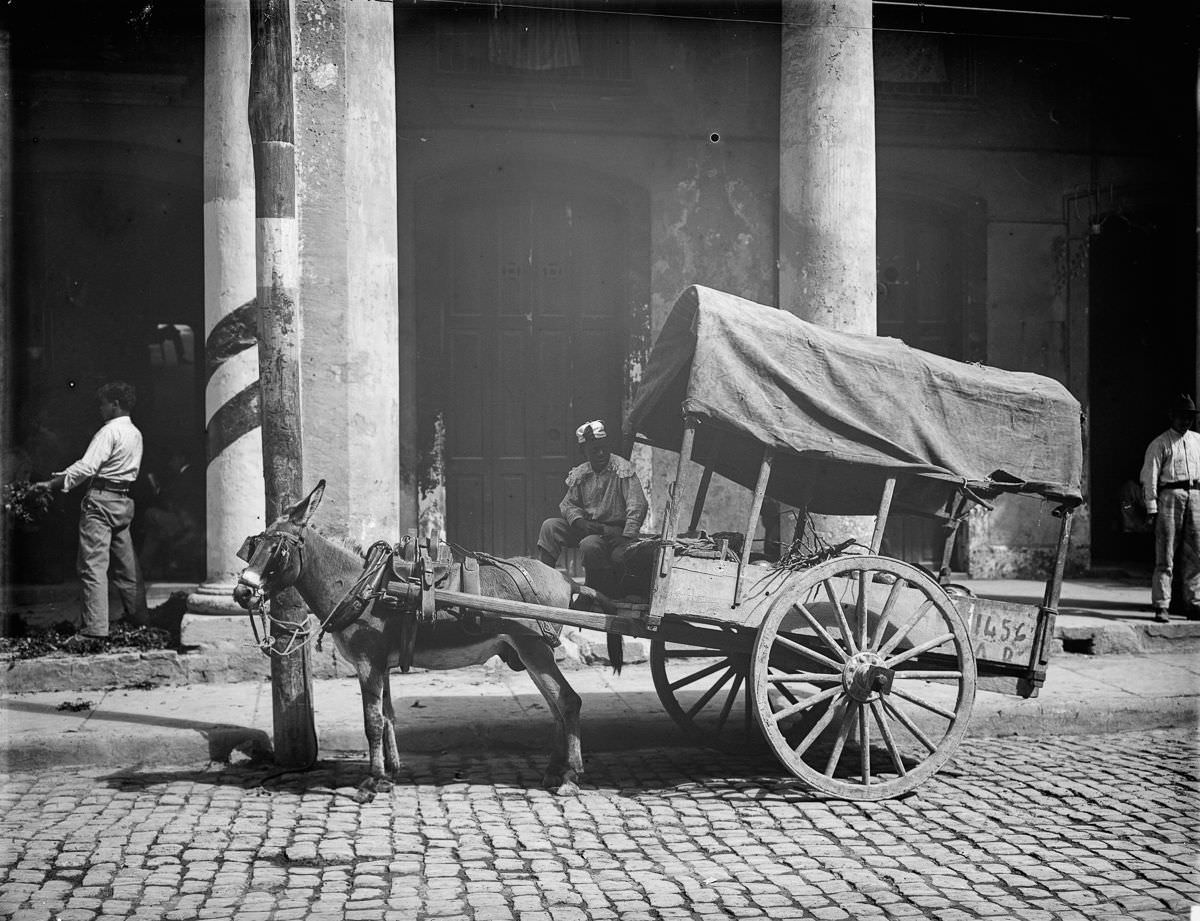 A coconut merchant's wago, Havana, 1900