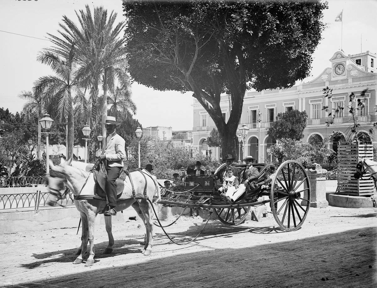 A horse-drawn cab, Havana, 1904