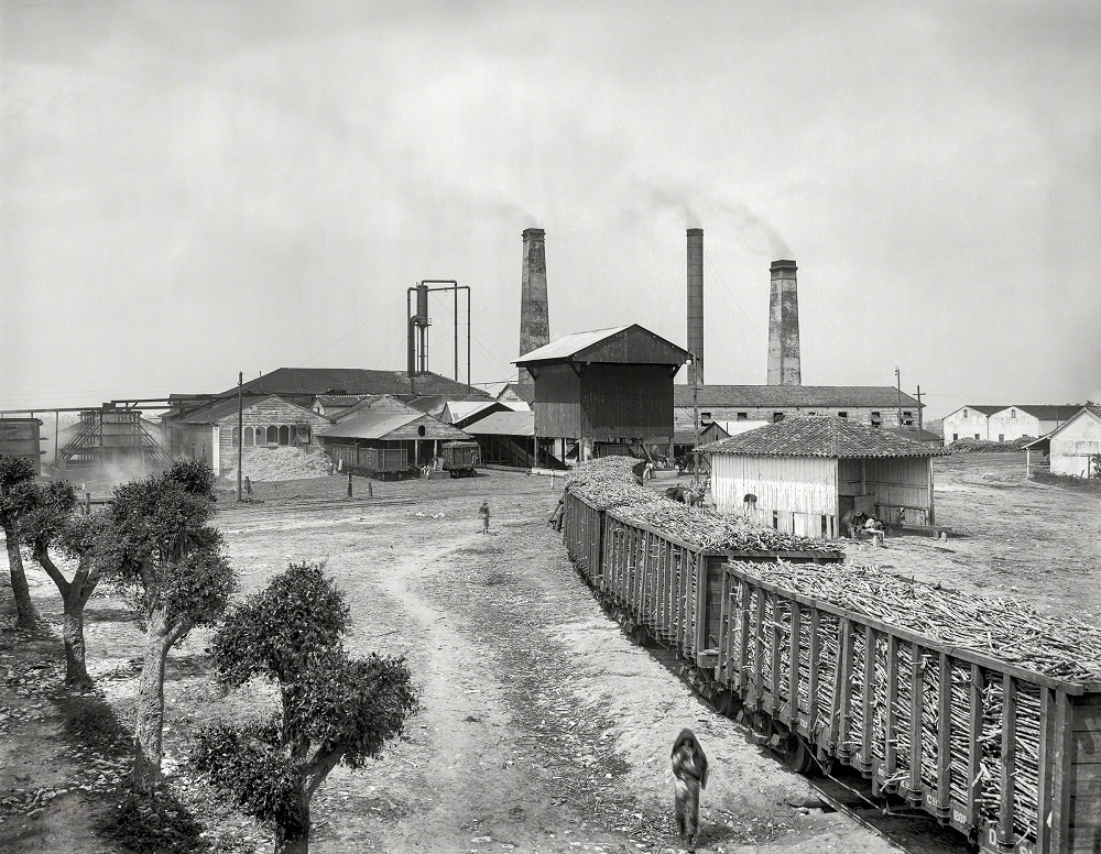 The old sugar mill at Finca near Havana, 1904