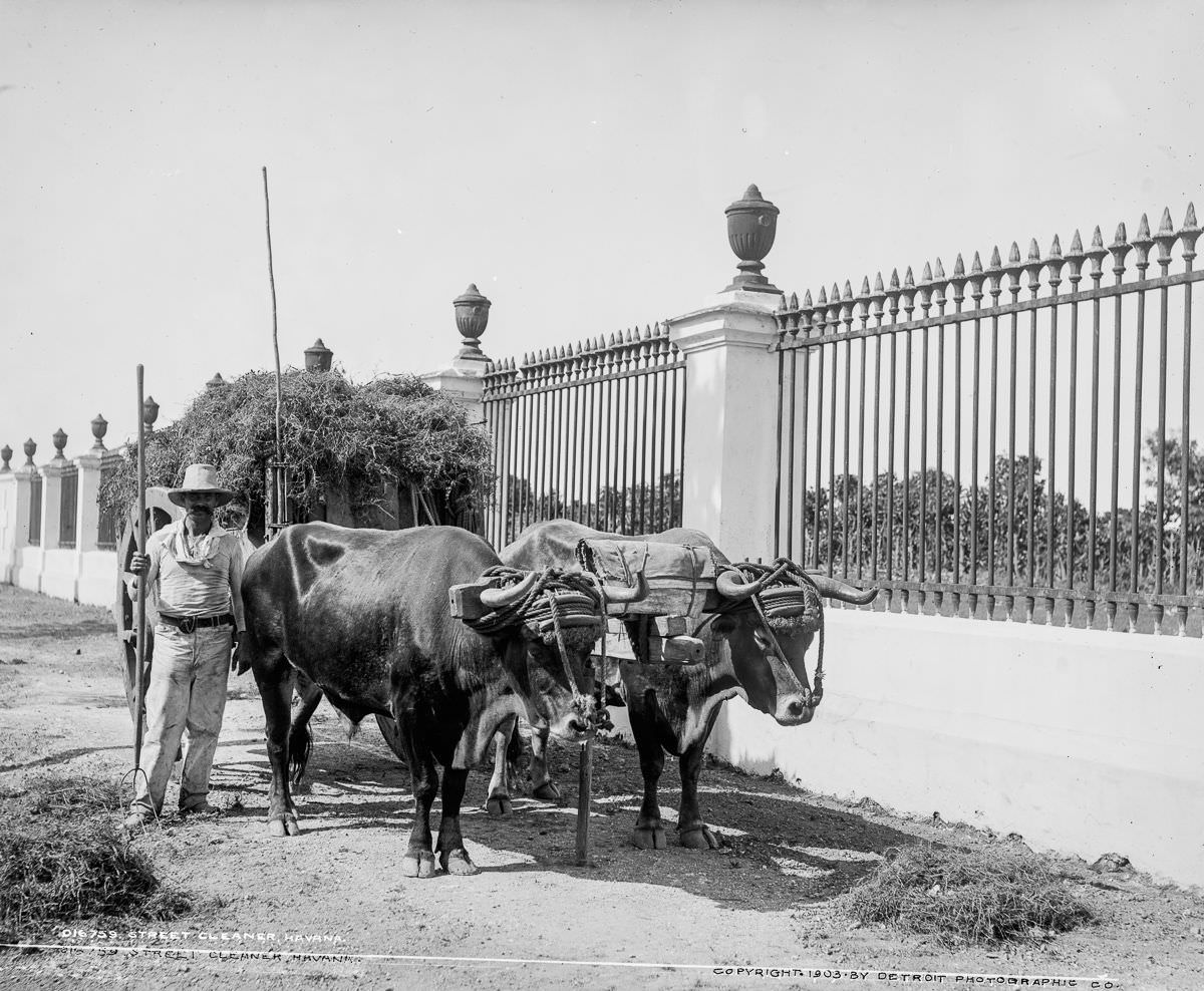 A street cleaner, Havana, 1903