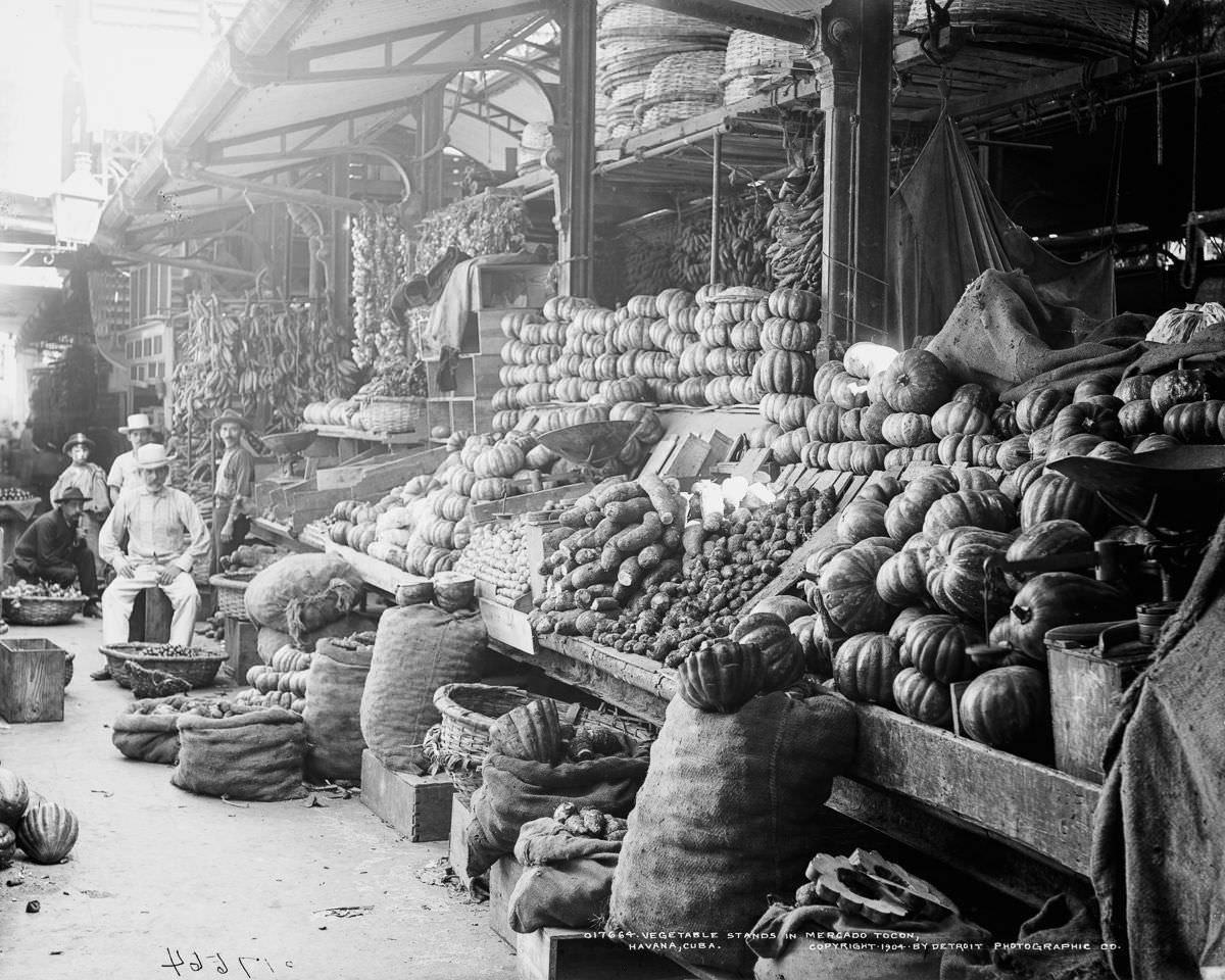 Vegetable stands in Mercado Tocon, Havana, 1904