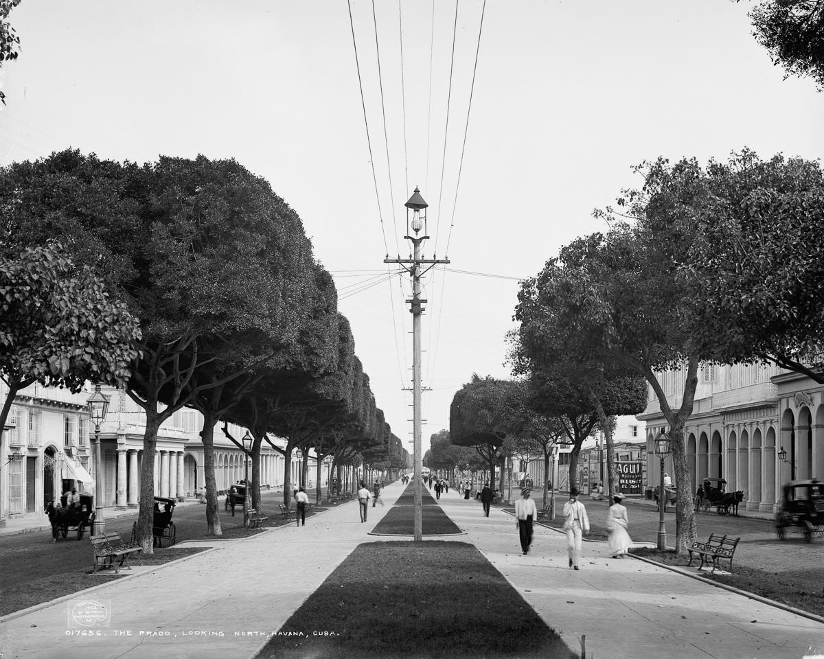 A view looking north down the Paseo del Prado, Havana, 1900