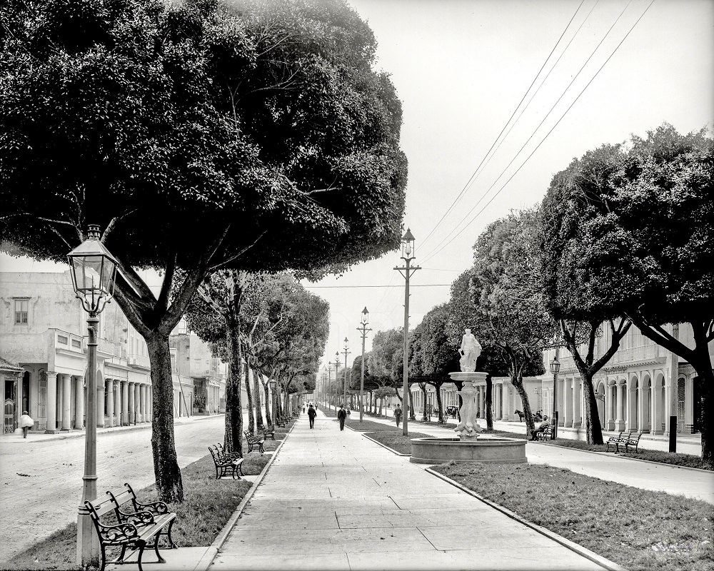 The Prado, looking south, Havana, 1904