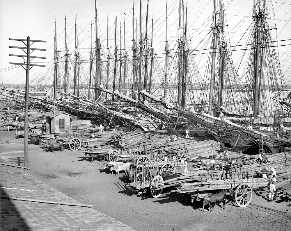 Muelle Tallapiedras (Tallapiedra wharf), Havana, Cuba, circa 1904