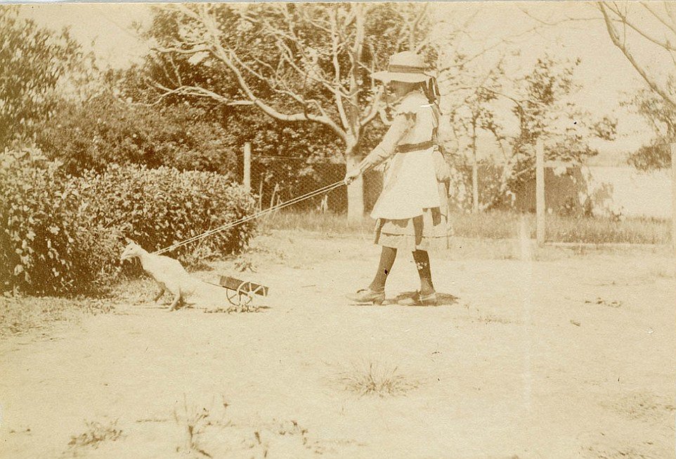 A girl in a dress, stockings and a hat with her pet duck on a leash in the garden, taken circa 1885-1890.