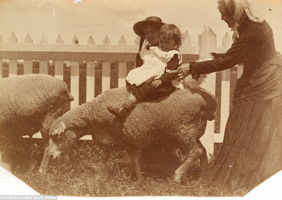 A small child in a frilly white smock is seen grinning as she balances on the back of a pet sheep near a white picket fence, as as a women leans over to stead her balance, circa 1885-1890