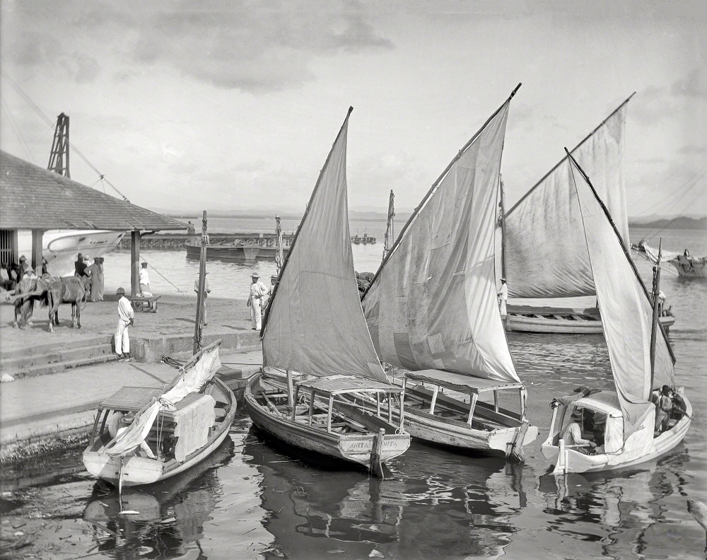 Native sailboats, San Juan, Puerto Rico circa 1906