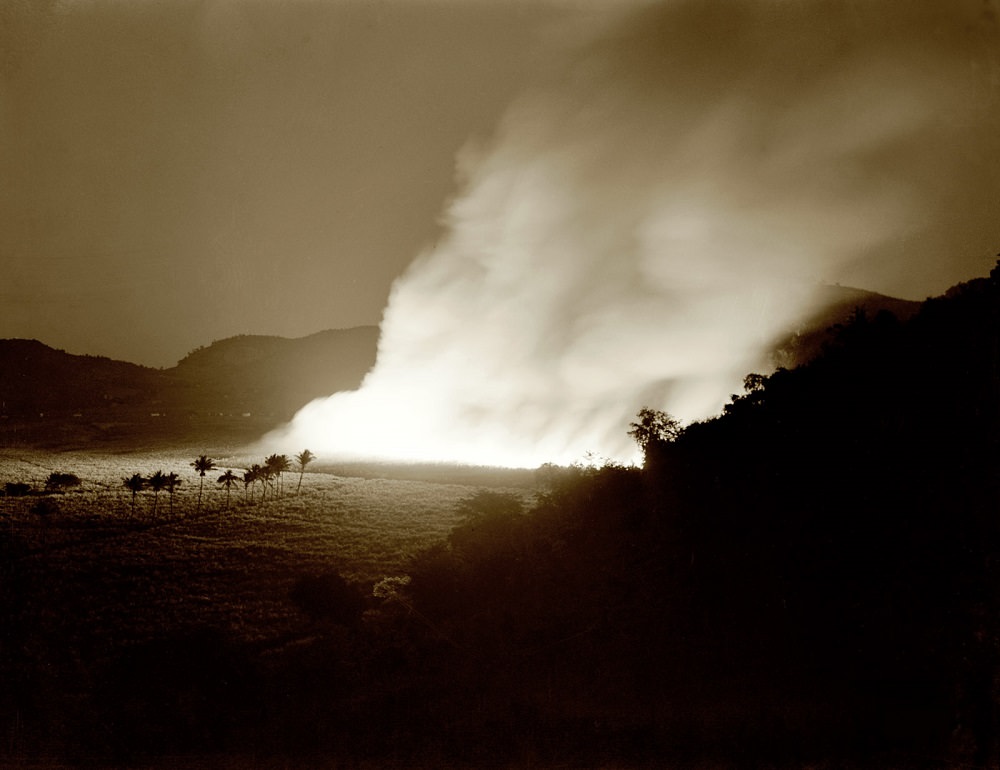 Burning a sugar cane field., Guanica, Puerto Rico, January 1942