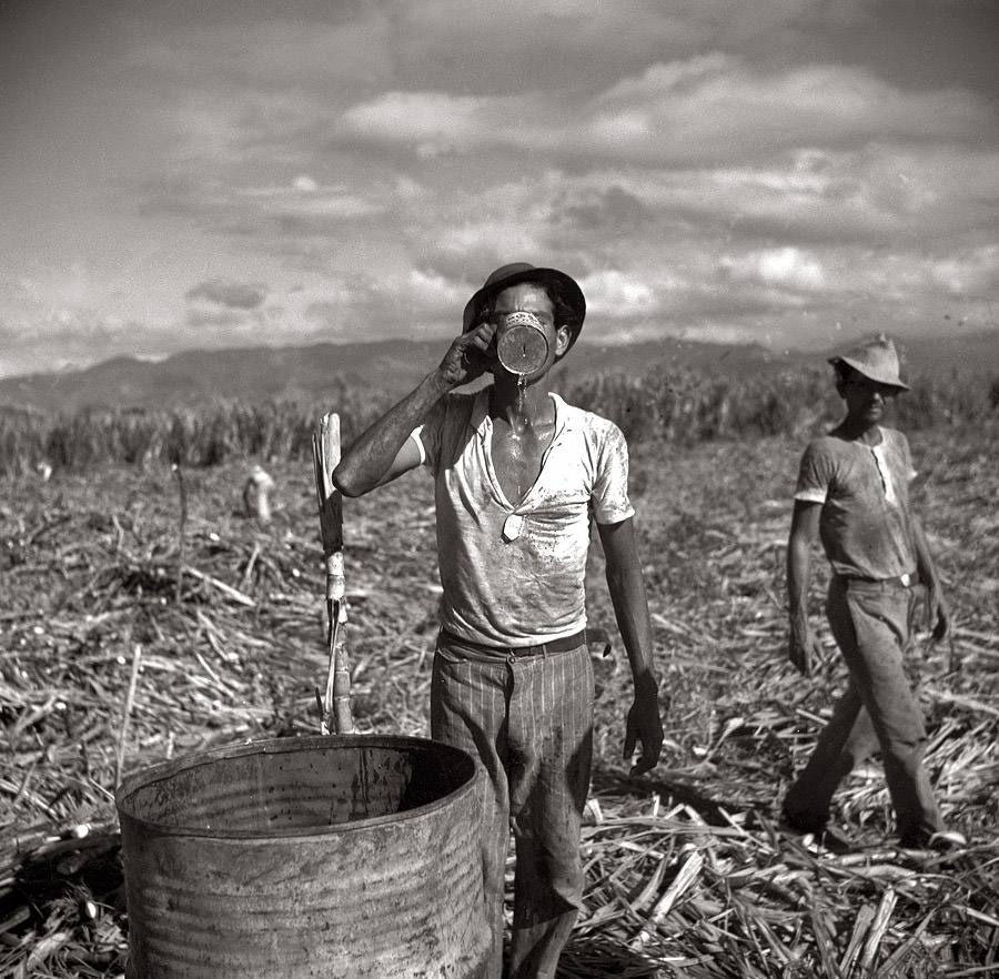 Agricultural workers on a sugar plantation near Ponce, Puerto Rico, January 1938