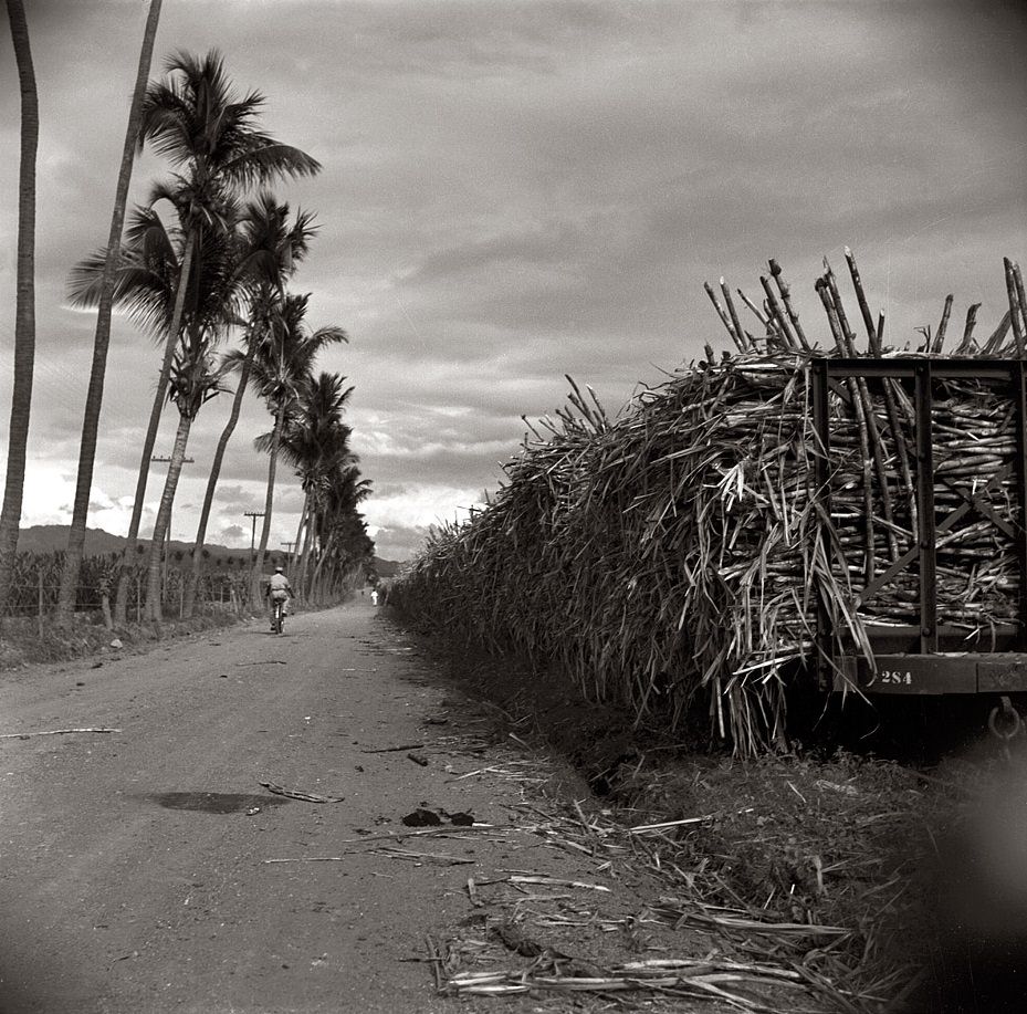 Train loaded with cane on a sugar plantation near Ponce, Puerto Rico, January 1938