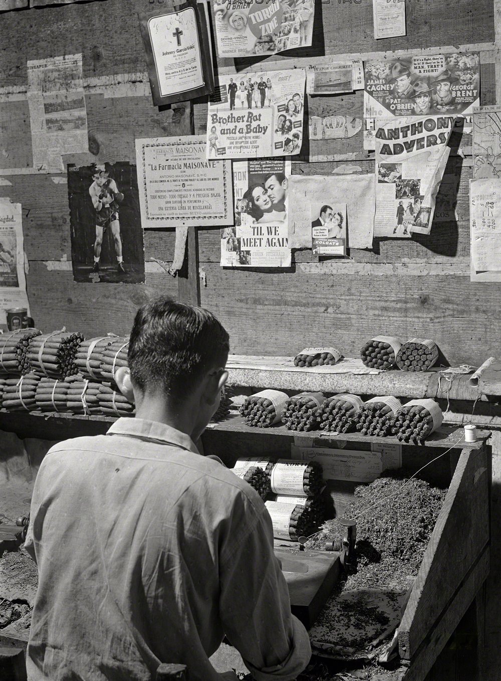 A worker making cigars in a small cigar factory, Yauco, Puerto Rico, January 1942