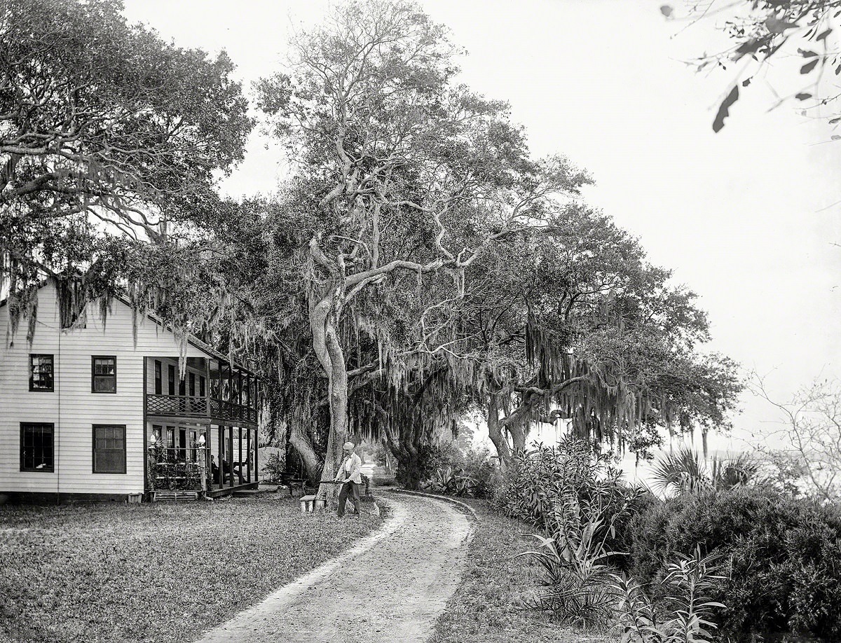 Bostrom's on the Halifax near Ormond, Volusia County, Florida, circa 1890.