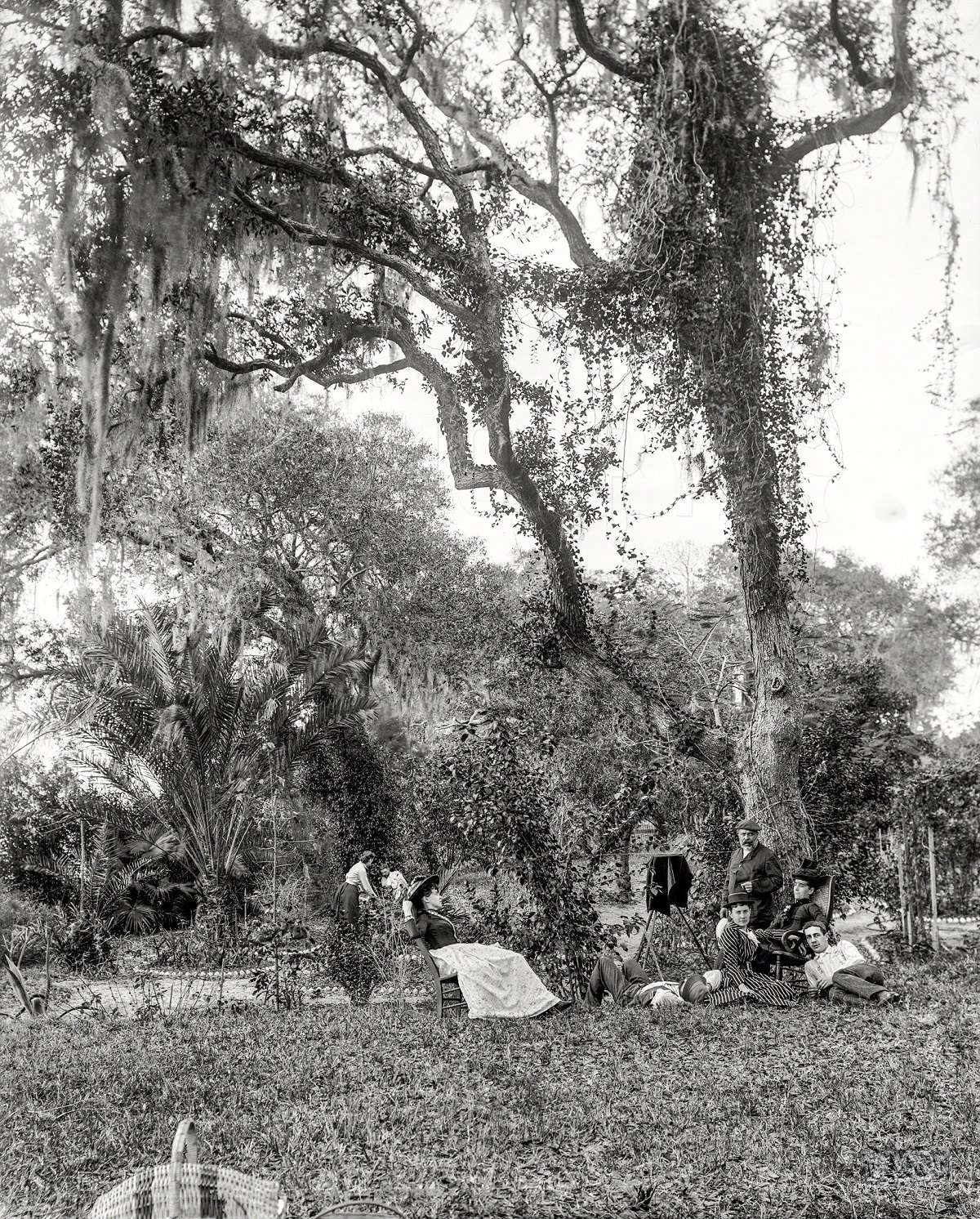 A garden near Daytona, Volusia County, Florida, circa 1897