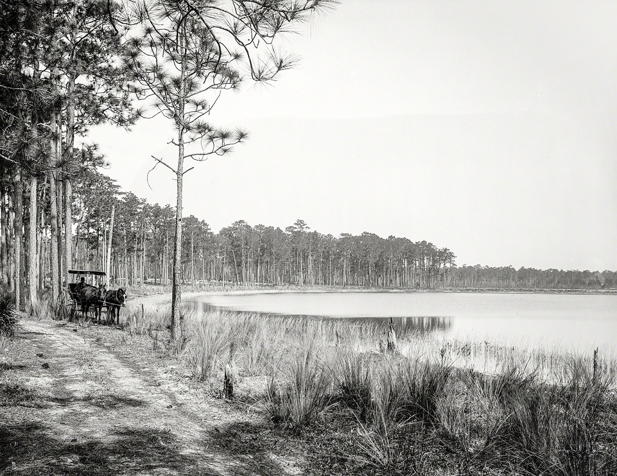 Lake Louise, near Seville, Volusia County, Florida, circa 1897