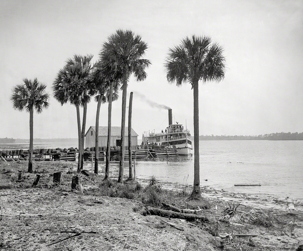 Sidewheeler City of Jacksonville at Beresford on the St. Johns, Florida, 1897