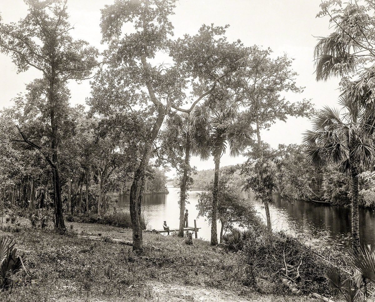 Residence in palm grove, Key West, Florida, circa 1899