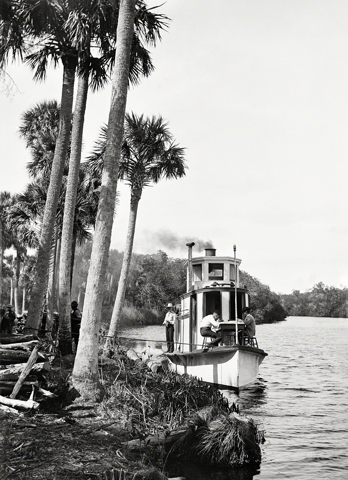 Along Florida's Indian River circa 1890