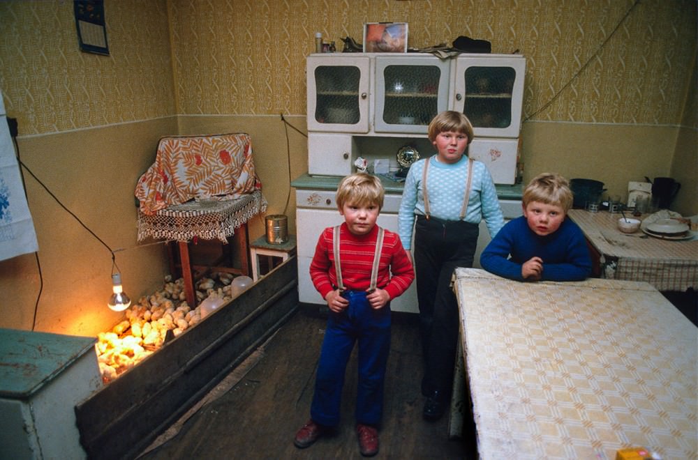 Young boys rearing chicks at home, Leszno, martial law, 1982.