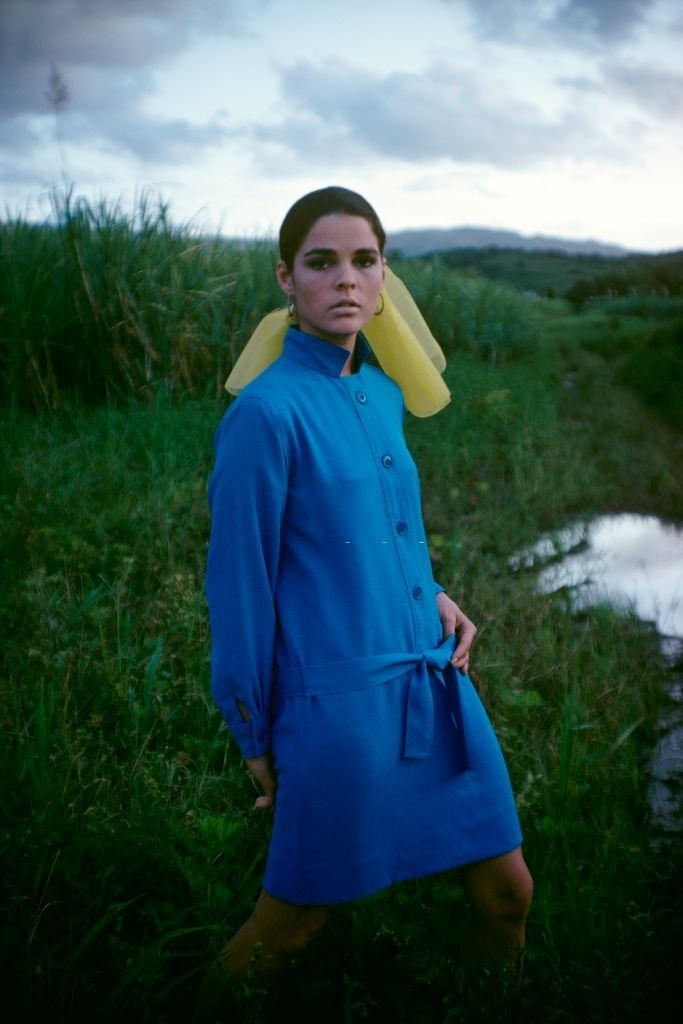 Ali MacGraw standing in a field modeling a blue belted shirtdress, 1968.