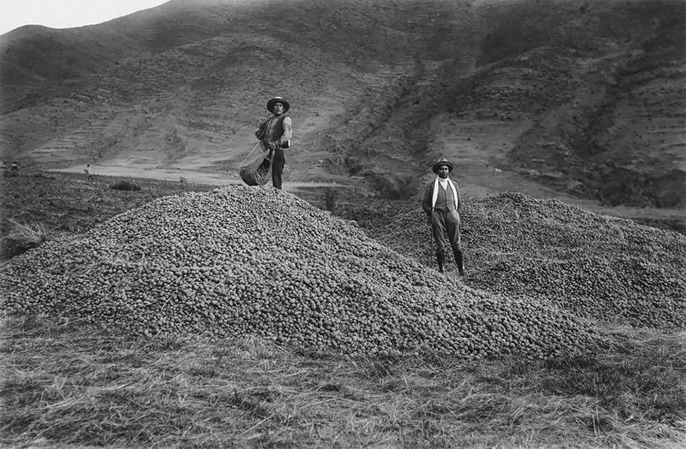 Fascinating Historical Photos Of Inca Culture And Life In Peruvian Andes From The Early 20th Century