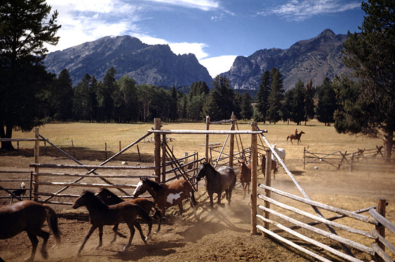 A horse ranch, Jackson Hole Valley, Wyoming, 1948.