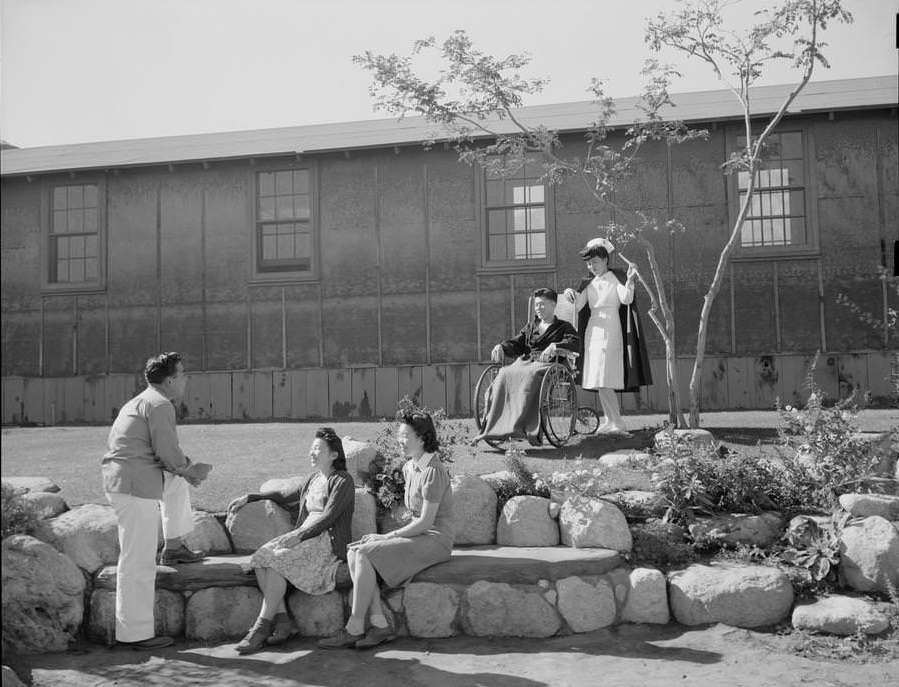 Nurse standing behind man in wheelchair with young man talking to two young women in foreground.