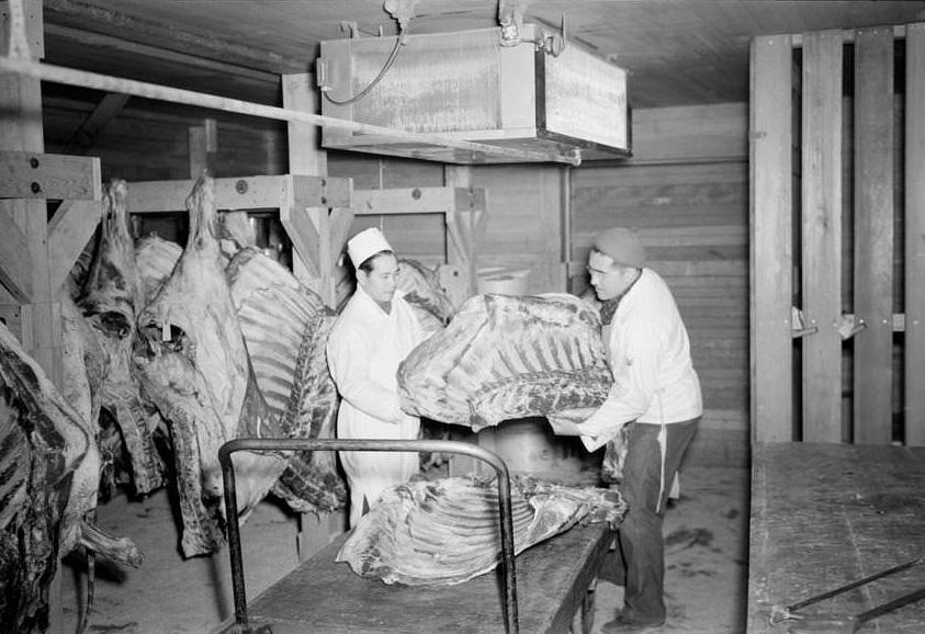 Two men handling beef carcasses in butcher shop.