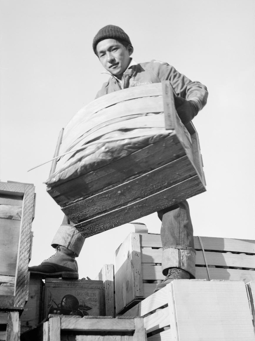 Tsutomu Fuhunago lifts a produce crate while standing on top of a load of crates.