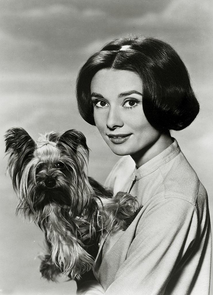 Audrey Hepburn with her dog, 1952.