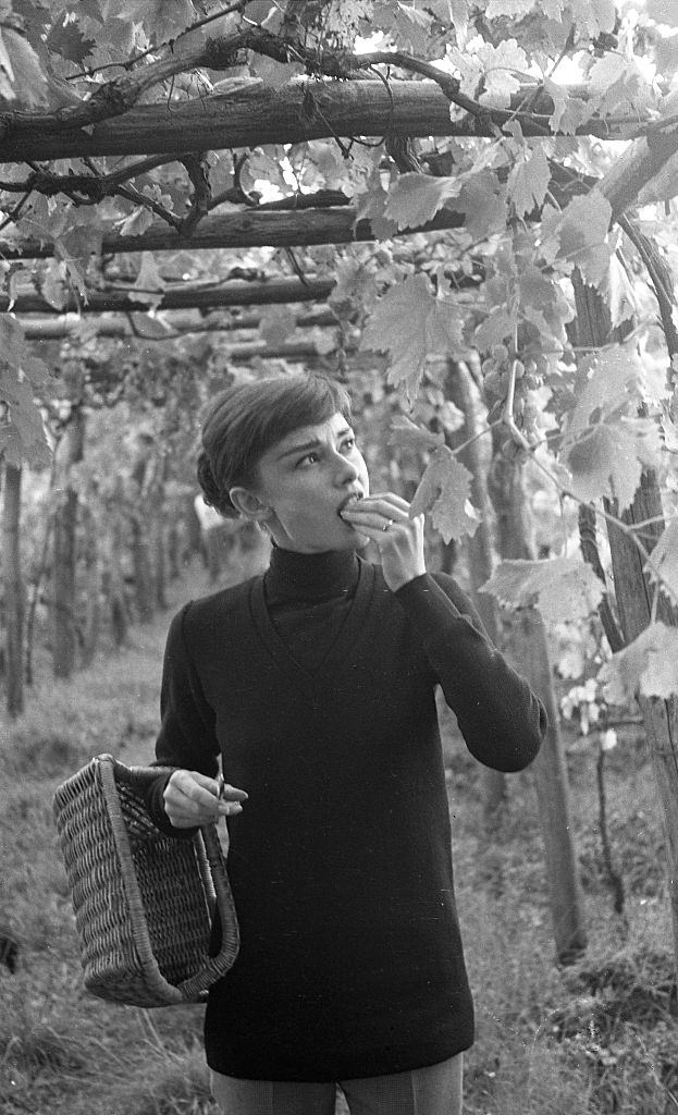 Audrey Hepburn Tasting Grapes in her Italian Vineyard , 1955.