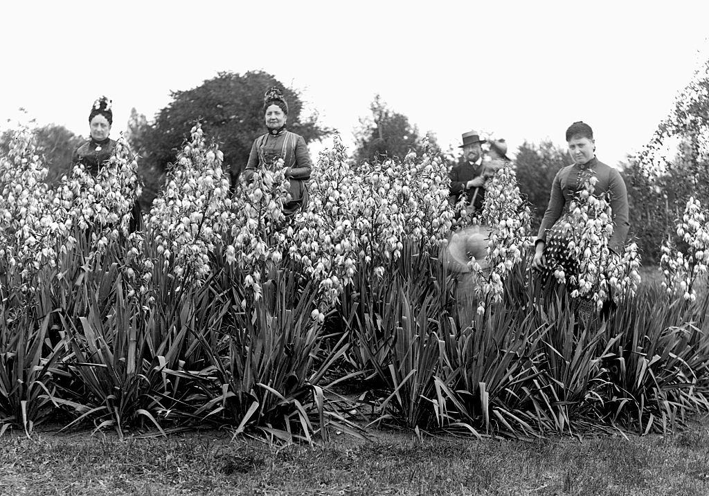 Prosperous family poses in an Belgian estate garden, Belgium, 1900.