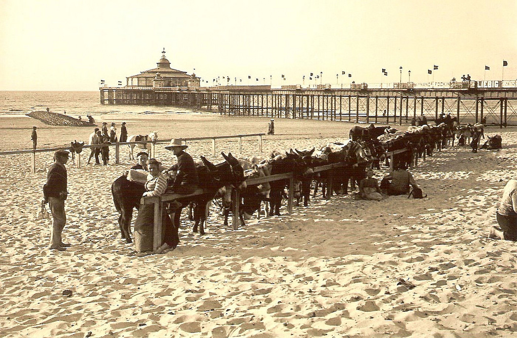 Donkeys at the pier in Blankenberge, 1907