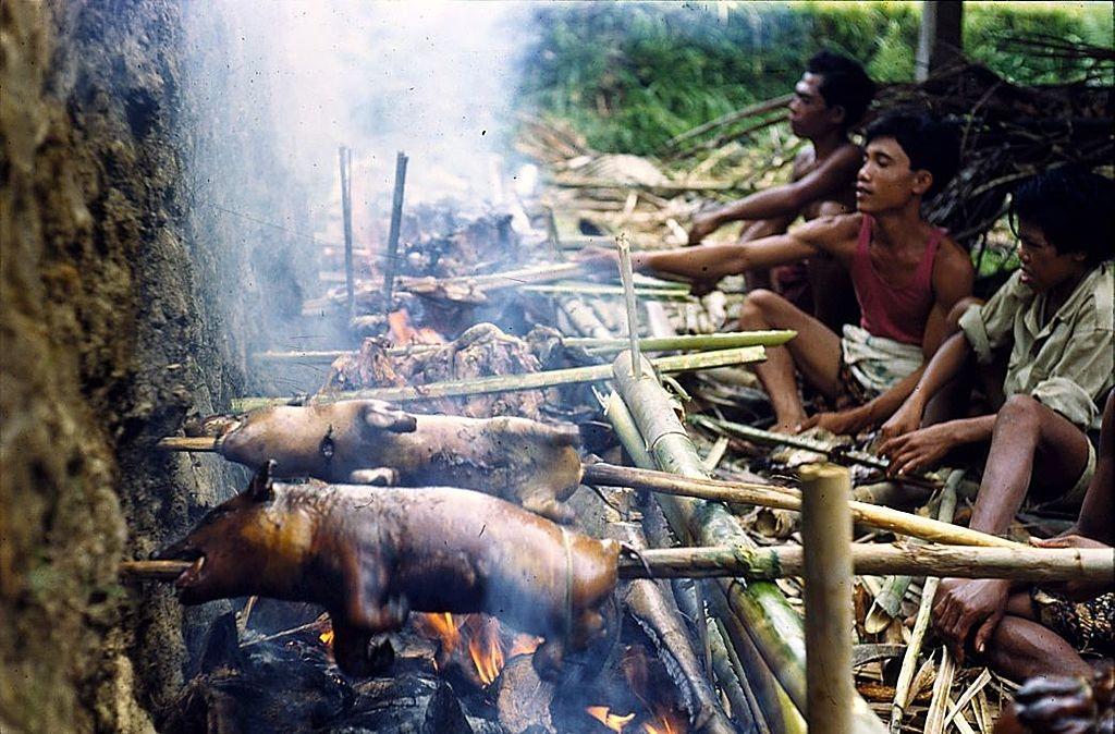 Pigs roasting on spits over an open fire in preparation for a Balinese feast, 1956.