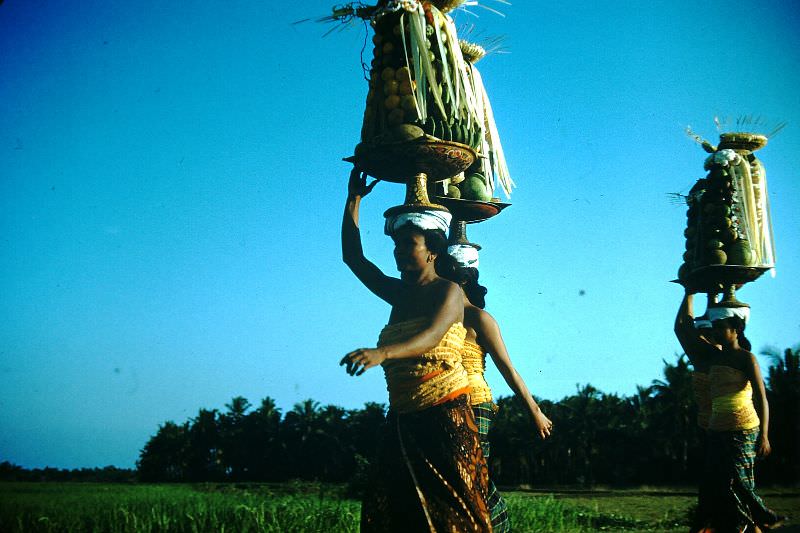 Temple offerings, Bali, 1952