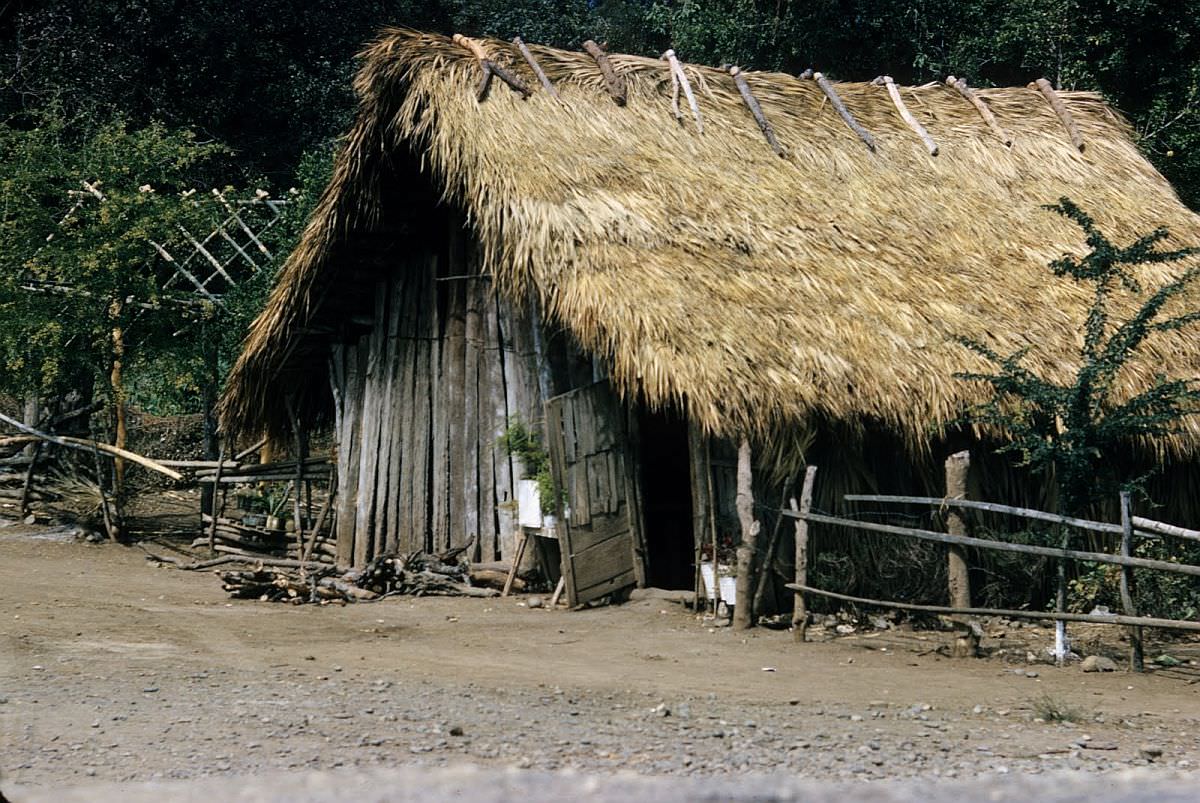 Spectacular Color Pictures Show Life In 1950s Mexico City