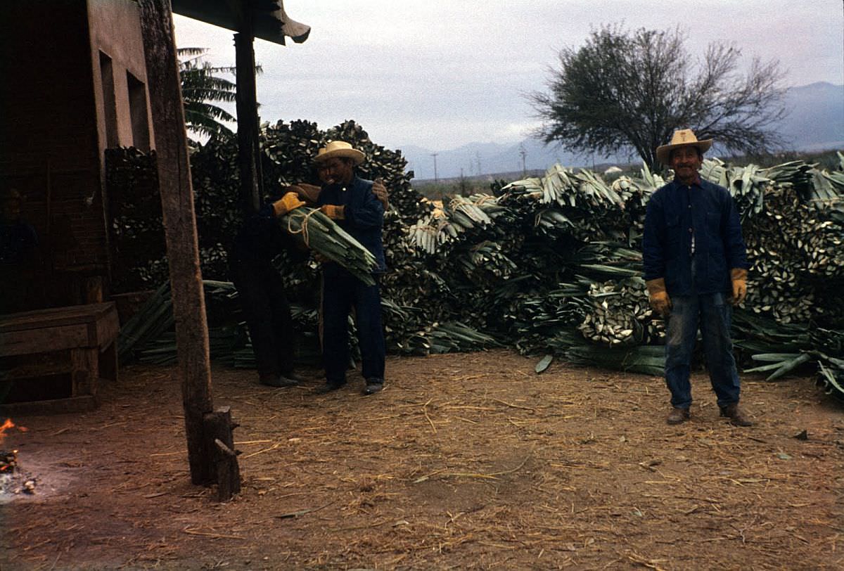 Spectacular Color Pictures Show Life In 1950s Mexico City