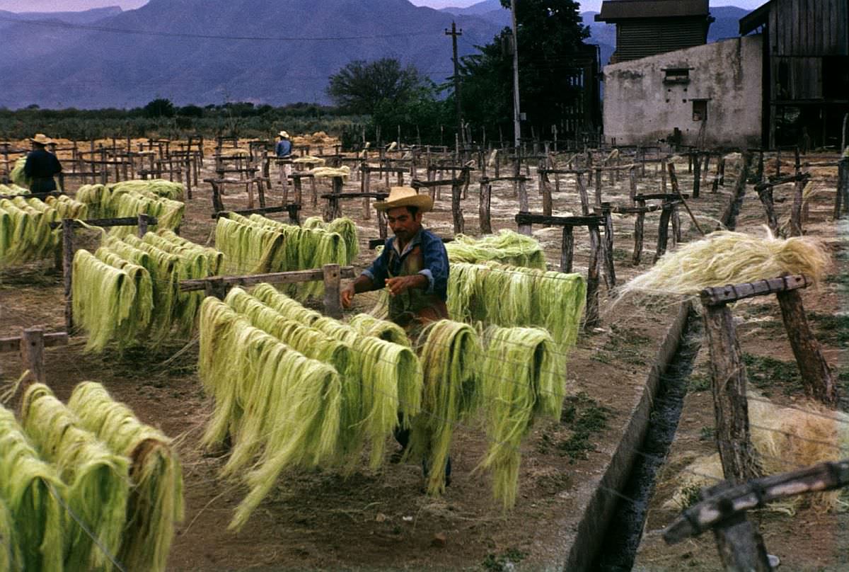 Spectacular Color Pictures Show Life In 1950s Mexico City