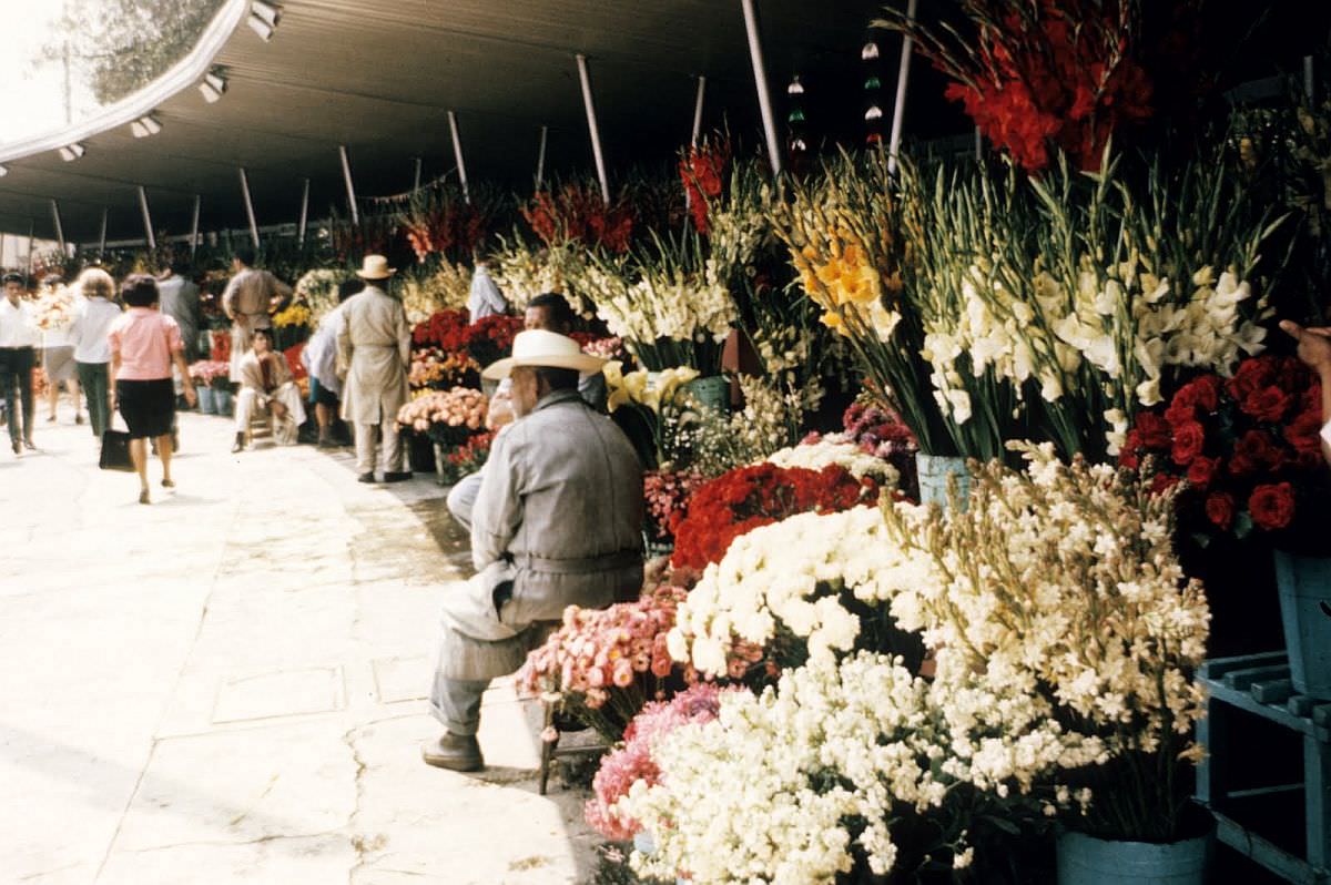 Spectacular Color Pictures Show Life In 1950s Mexico City