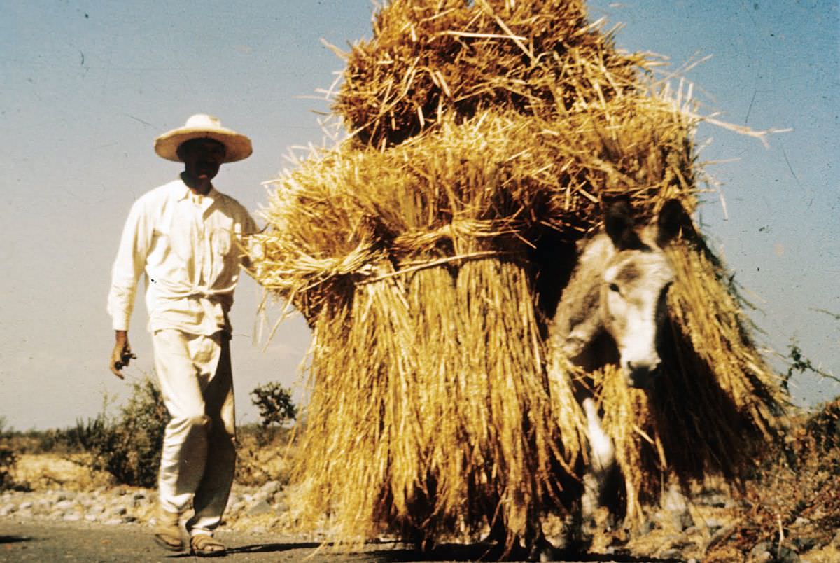 Spectacular Color Pictures Show Life In 1950s Mexico City