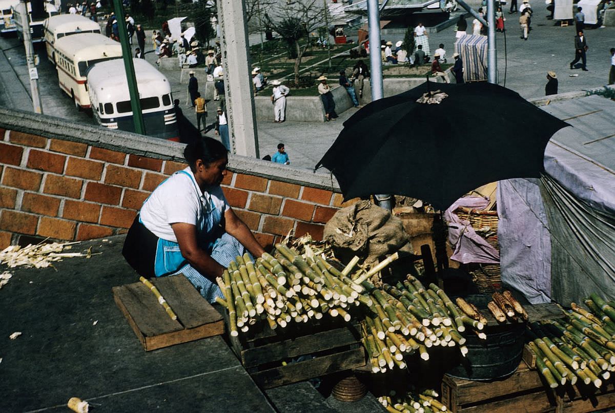 Spectacular Color Pictures Show Life In 1950s Mexico City