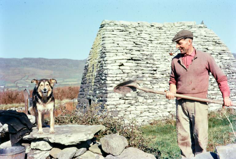 Working alongside the Gallarus Oratory on the beautiful Dingle Peninsula in Kerry. Mossy Carey, 1960