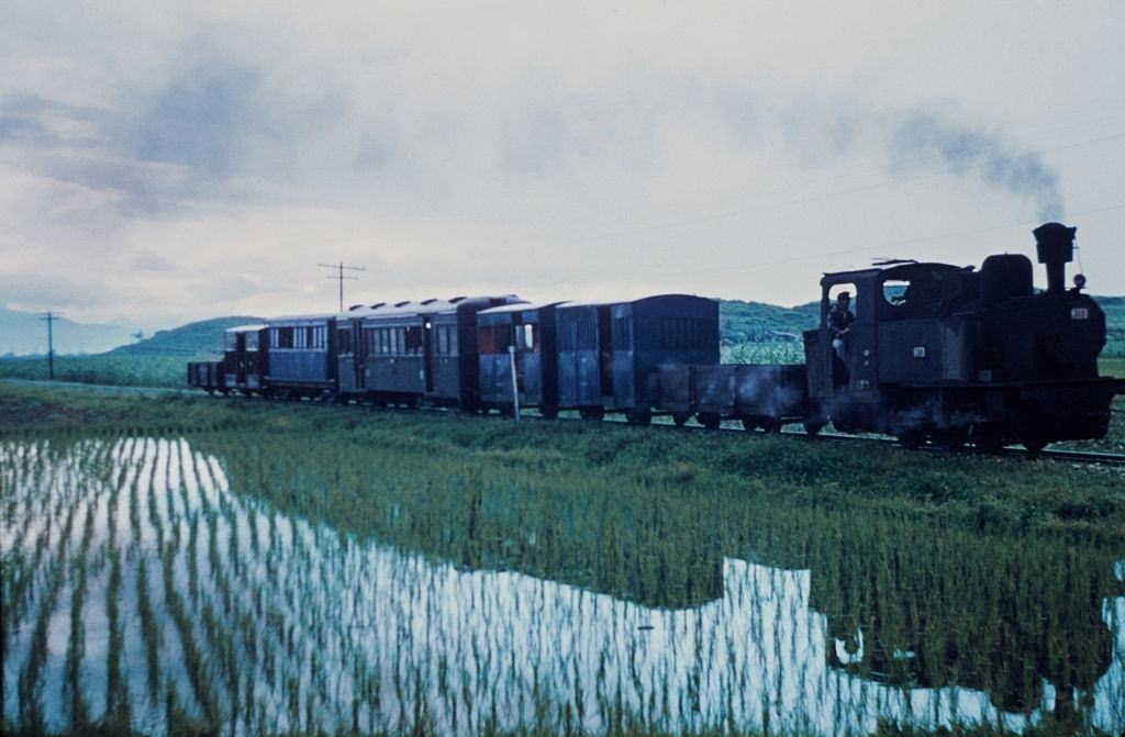 A train passes through a rice paddy field in Taiwan, circa 1965.