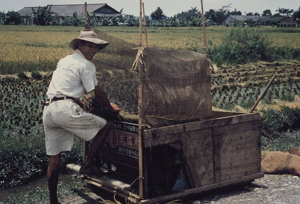 A rice farmer with a handcart in Pingtung County, Taiwan, circa 1965.