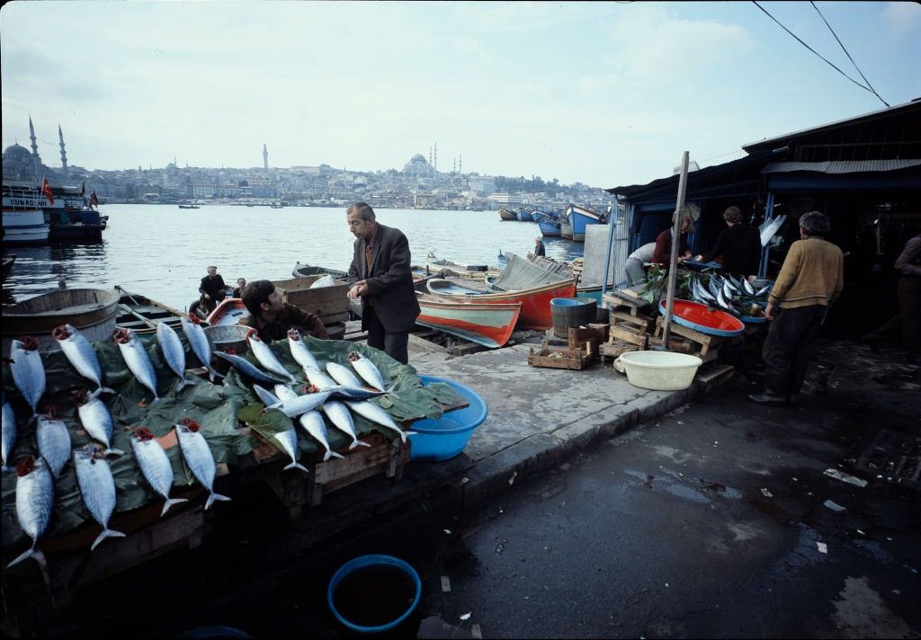 Fish market at Bosporus, Istanbul 1976