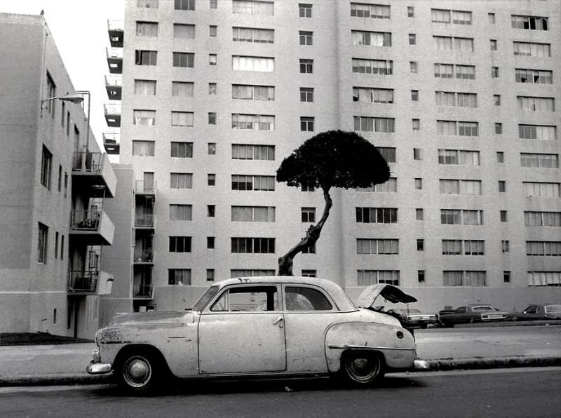 Public housing projects, Turk Street, Western Addition district, San Francisco, 1978